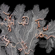 Illustration for article titled Mining the Deep Sea Could Mean Unique Ecosystems Are ‘Lost Forever’